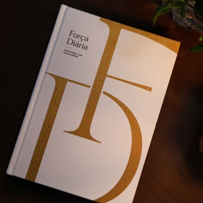 image_3d8bfece-9ef4-4026-955b-d1ba704a736f