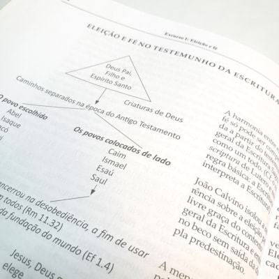 image_811afe8c-1a0c-4a68-be31-c9f1a2af7100