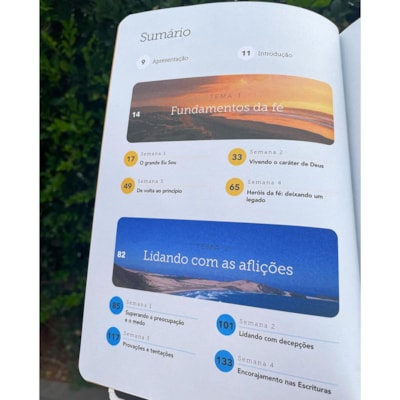 image_dca3e6d5-a3a0-4768-963f-2ca73e9fa92e