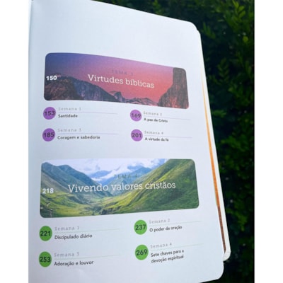 image_6b3f19d0-1699-4fe9-8f2e-c7a93accd258