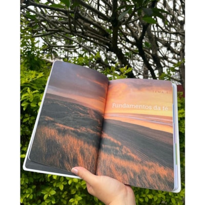 image_b2ea3827-a3d4-45e5-aa73-3cb17380bacb