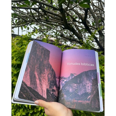 image_35655126-0e62-4bec-bffb-6e1a73d184c8