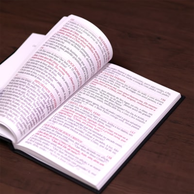 image_95ccd594-ae54-4285-8616-4a36b955438b