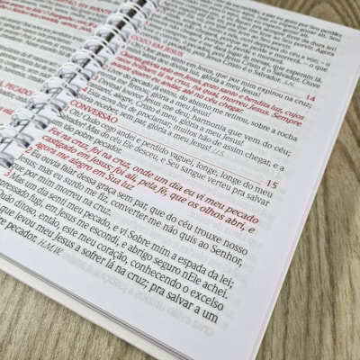 image_19b76993-aece-4eff-a45a-a626fbeffc6d