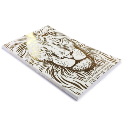 image_1c4b6568-d63c-4d67-912e-c2c6dc5a3ac5