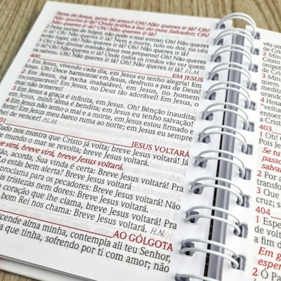 image_923eec71-2f38-4e7c-bd56-9de6cf00a9f1