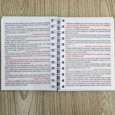 image_e94cfaf6-5c83-4d2c-82db-ad0091b2a3e0