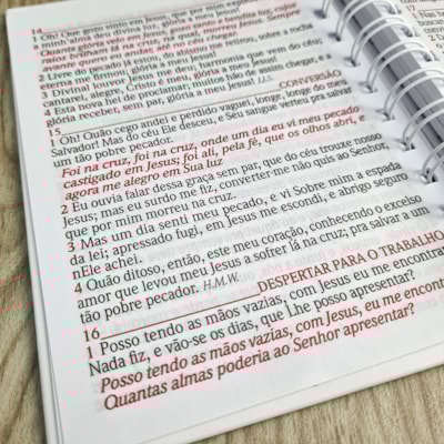 image_cd558c90-d309-4491-a339-049f37bc68fc