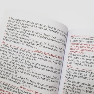 image_5561c149-a988-4713-93ad-1cccfde939f4