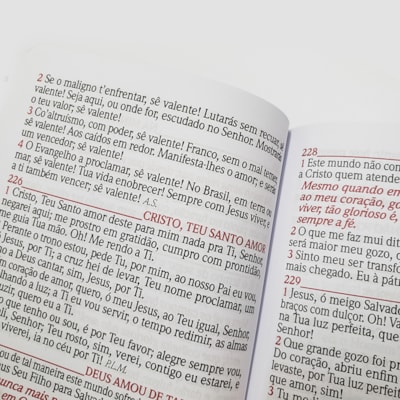 image_4690634d-006a-40e0-b59d-9e0379a66311