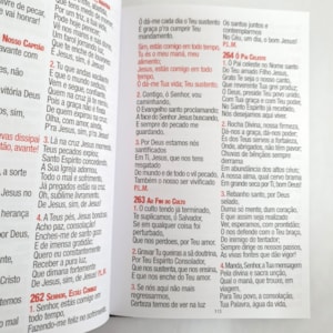 Segunda imagem do produto Harpa Celestial 774 | Hipergigante | Capa Luxo Vinho