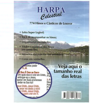 image_359d2082-54a9-43ef-8819-c139889edaaa