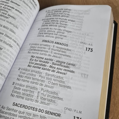 image_254d1534-ba09-489f-a5af-5c76548cac58