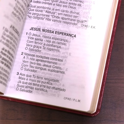 image_0e9ae5e9-e5b1-4d70-a62b-1c1883eaab45