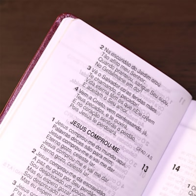 image_de393836-ca54-4100-87c7-9cb63ff437a7