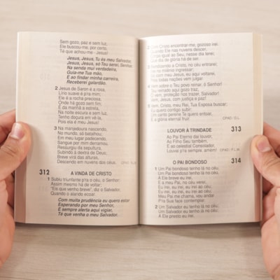 image_1b9607cb-b9a2-4009-a9ff-39116b3cd58f