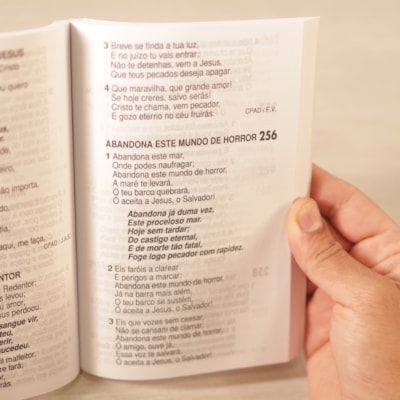 image_254d83af-7f0b-4b8a-8a67-67565bcdacd8