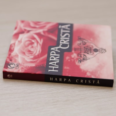 image_a8896881-e7e7-4458-831d-36bdc5ede842