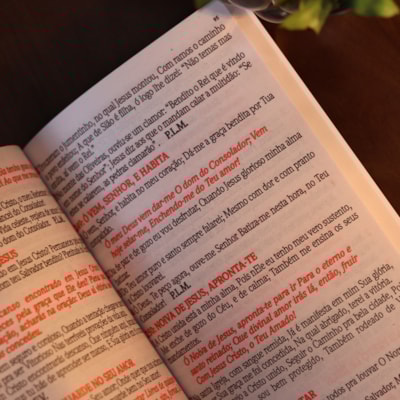 image_f2bfb717-acf2-492b-8cd4-c1396b4c5fae