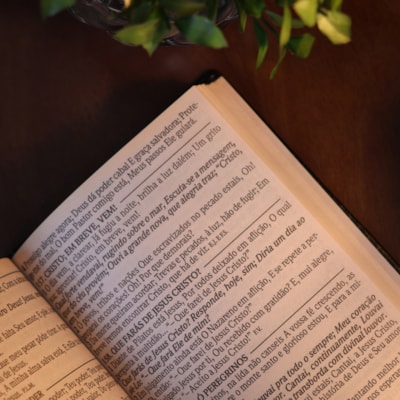 image_728dfba4-0281-4e97-8acd-27df4ed0a360