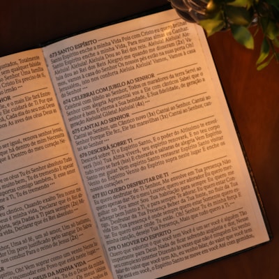 image_b920ff05-04ca-4ab1-b14a-84d81ba297c2