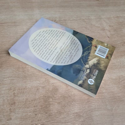 image_9ce076b3-85bb-47d2-ad84-bda111fb954c