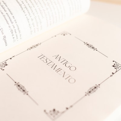 image_cfd29627-eb87-4fa9-820a-eec875f09f24