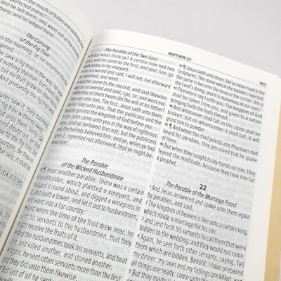 image_17bf6a26-e210-47ec-9ad5-2e10fde001ba