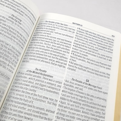 image_b7e0168d-7d79-421b-bbe5-7543f2b195e5