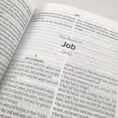 image_4a0cca27-27b4-42f3-b9d4-ddc6bed070a4