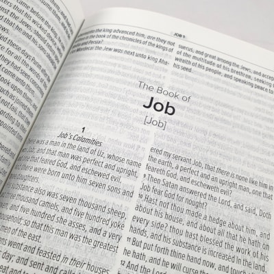 image_b38dbef9-d450-416e-98e9-93e7941ab724