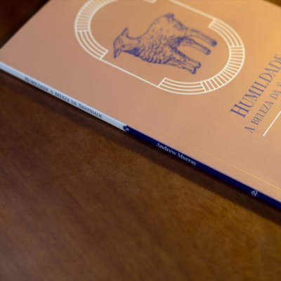 image_8fca8608-0daf-4784-8bca-8d14f772419f