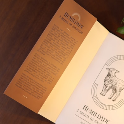 image_8db88ad2-15b0-4e7b-855f-282373417564