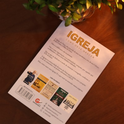 image_d4493db4-2a5a-43f5-913d-01c2ea3d5f59