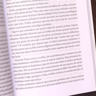 image_1b9aae84-3c1b-4d7e-a91f-29606bdafacc