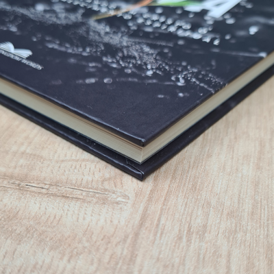 image_1d3cbccb-39b1-4f85-892b-6b56391b3760