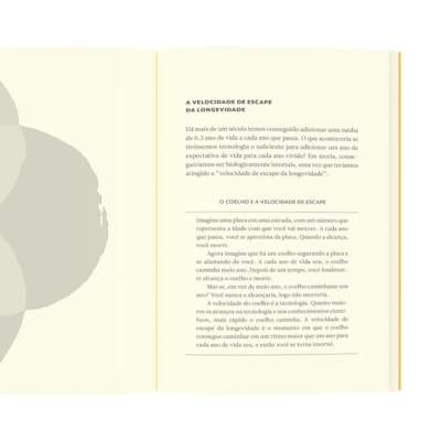 image_3e455076-c6fc-4c89-8c18-6e12eabd6e5f