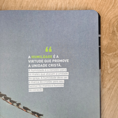 image_68b8fd45-5ac0-4aa5-a28b-0ef0194ce37e