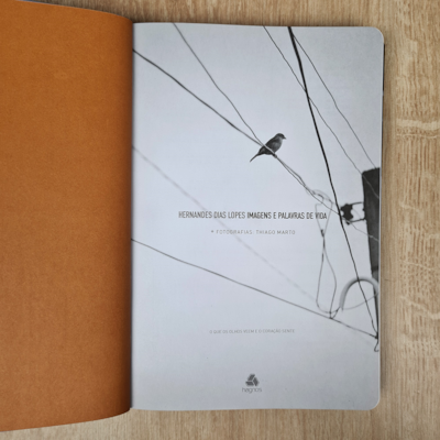 image_3234d70d-9aa7-4094-ba50-0e746add7291