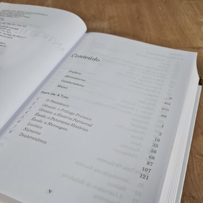 image_3006d133-45b4-4406-acc6-9167e5d4916d