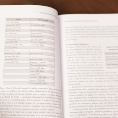 image_451ceacb-c94e-4b43-a2bf-d0eed2dcd53d