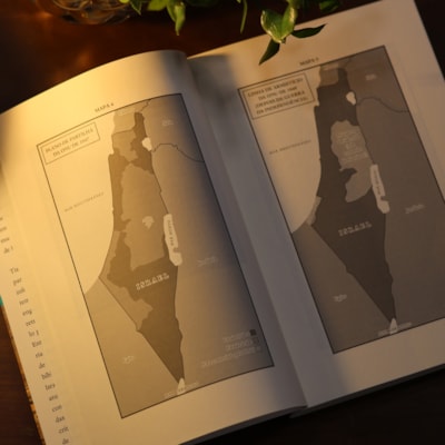 image_c99613e7-7468-4df9-b7e5-e1f328bf7fd0