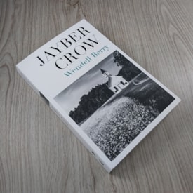 Segunda imagem do produto Jayber Crow | Wendell Berry