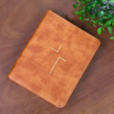 image_e89318db-3c98-4a58-b303-ebe306f123c7