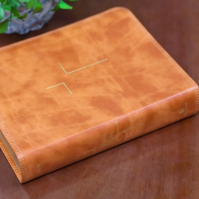 image_fcf059ab-a2d4-437c-8a11-1ca14b2fcd1b