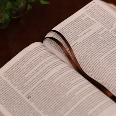 image_f359d032-8b3e-465f-a4b5-2ff1d9e9db51