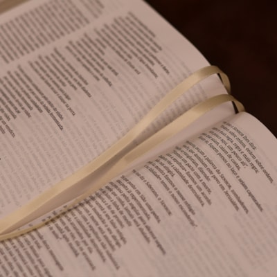 image_68bb7487-35b0-4772-b262-3c466e4ba712