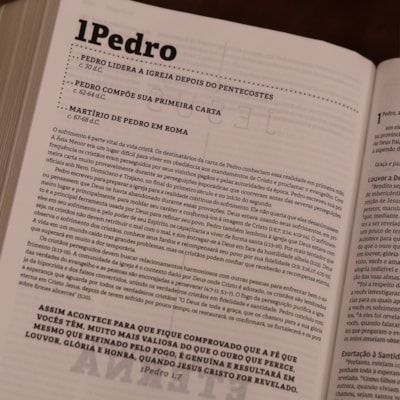 image_fced68c9-7722-4bf0-be6d-640201edefe5