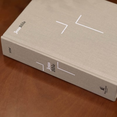 image_bee9469b-f5f7-49fe-9eb5-49ccef9624f9