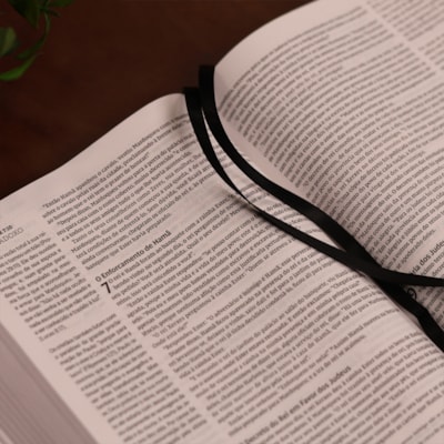 image_ea524064-b3ce-4888-a7cb-0c7ee8e301a0